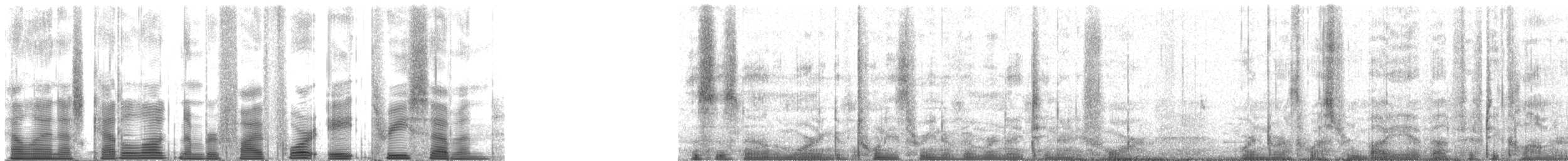 Calandrite du Bahia - ML54837