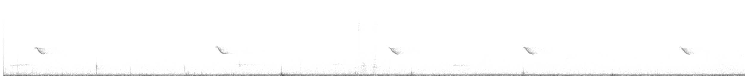 Щеврик довгодзьобий (підвид captus) - ML548373431