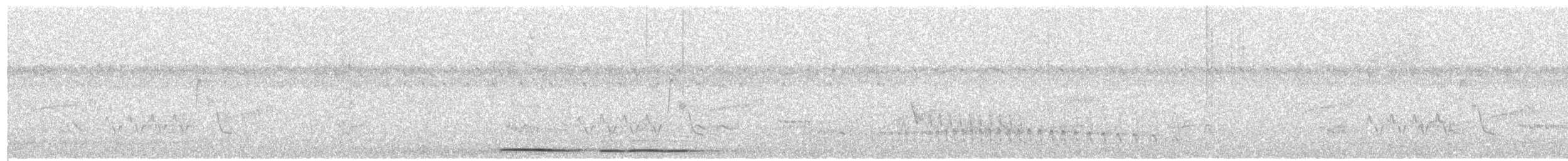 Tinamou noctivague (zabele) - ML548446411
