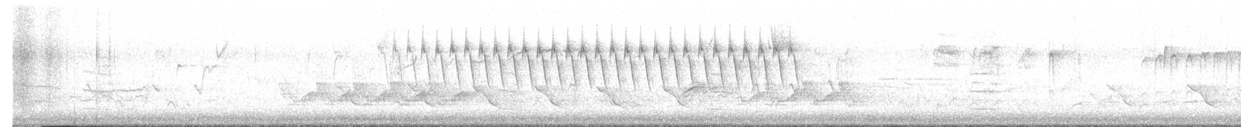 Schwirrammer - ML548516451