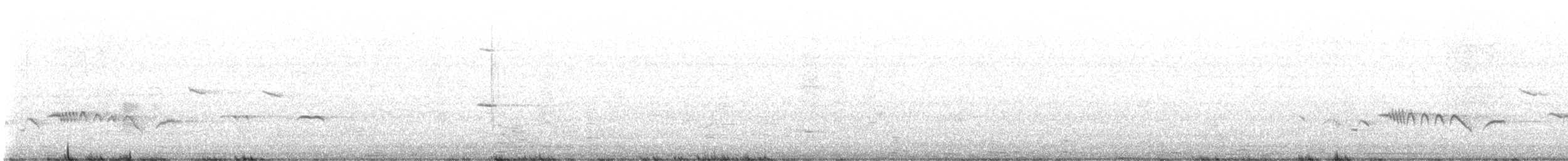 blåtrost (solitarius/longirostris) - ML548599431