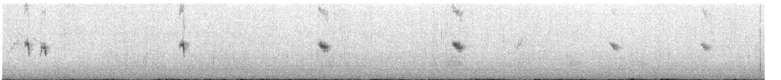 Плиска біла (підвид leucopsis) - ML548608811