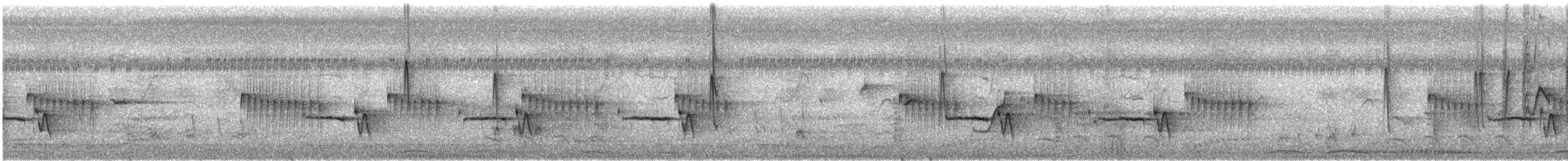Ashy Tailorbird - ML548610831