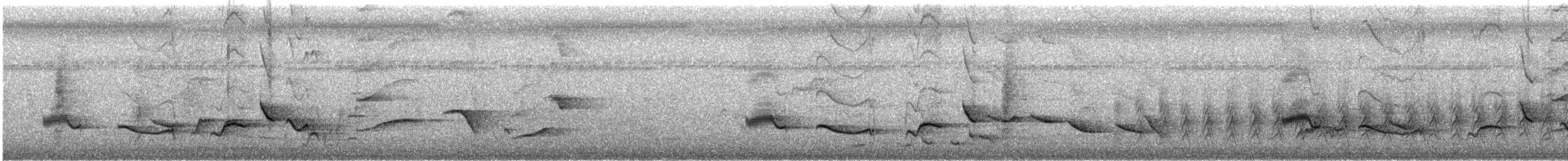 Oriental Magpie-Robin - ML548634671