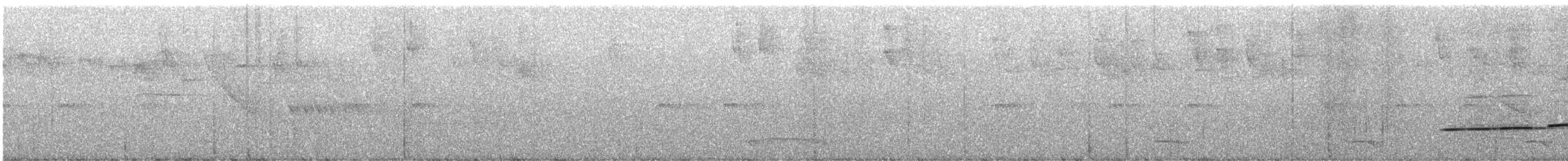 Ak Karınlı Yerçavuşu - ML548651211
