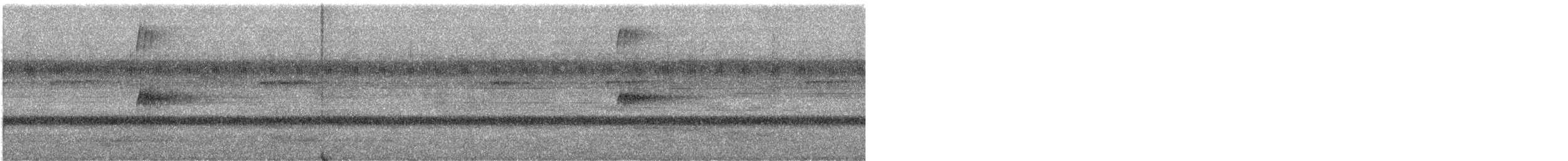 Короткохвостая аруна - ML548653241