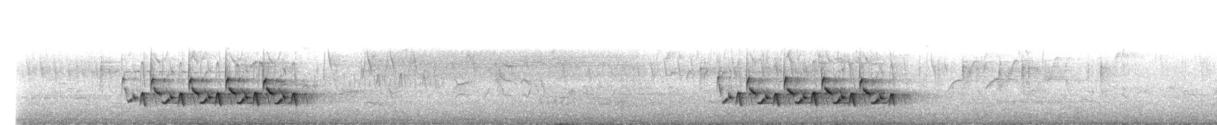 střízlík karolínský [skupina ludovicianus] - ML548659081