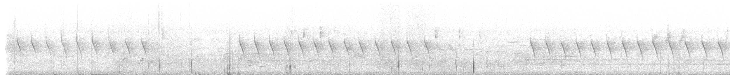 Weißbauch-Stutzschwanz - ML548662321