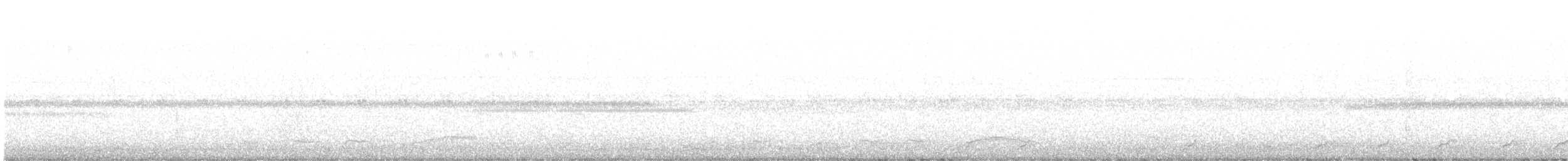 Pauraquenachtschwalbe - ML548724471