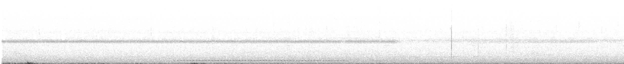 Сплюшка північна (підвид mccallii) - ML548724721