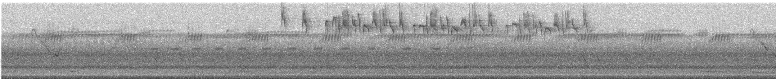 Maluro Meridional - ML548732501