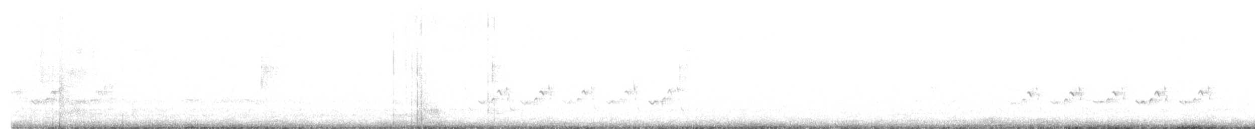 Black-throated Gray Warbler - ML548746431