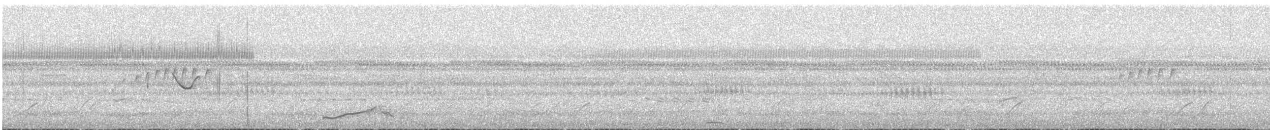 Spot-tailed Nightjar - ML548747951