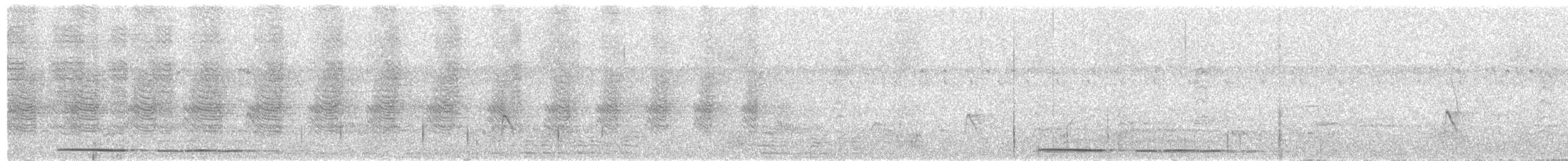 Tinamou noctivague (zabele) - ML548795771