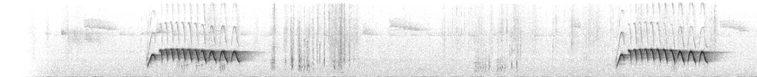Gray-bellied Wren-Babbler - ML548823771