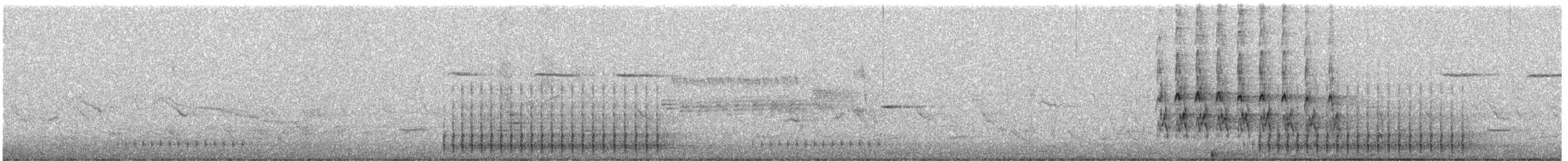 strakapoud osikový (ssp. pubescens/medianus) - ML548828611