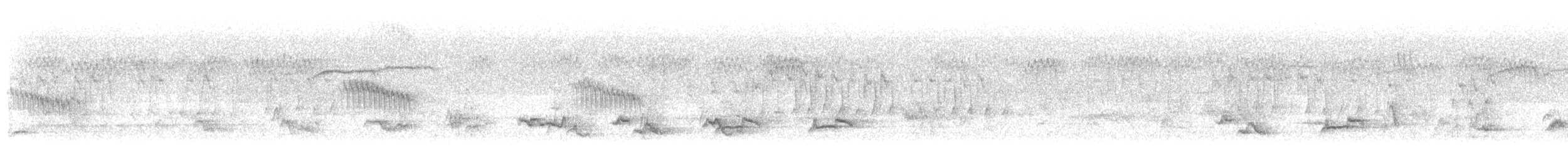 brkoslav severní/americký - ML548874121