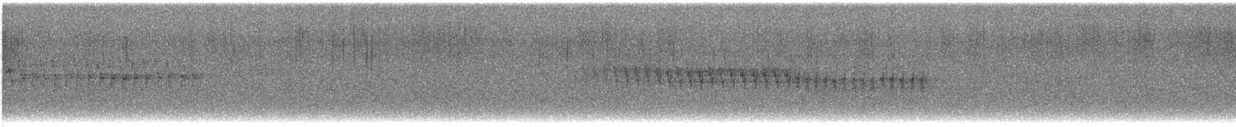 Шишкар білокрилий - ML548884991