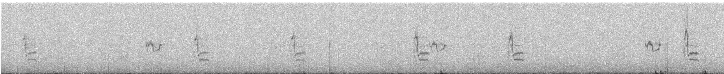 Great Gray Shrike - ML548959571