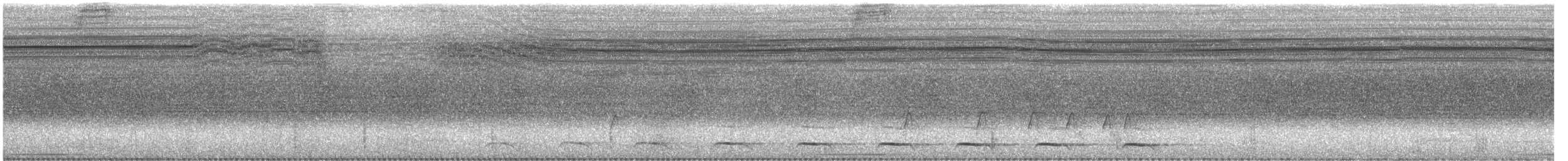 Blue-tailed Trogon - ML549011631