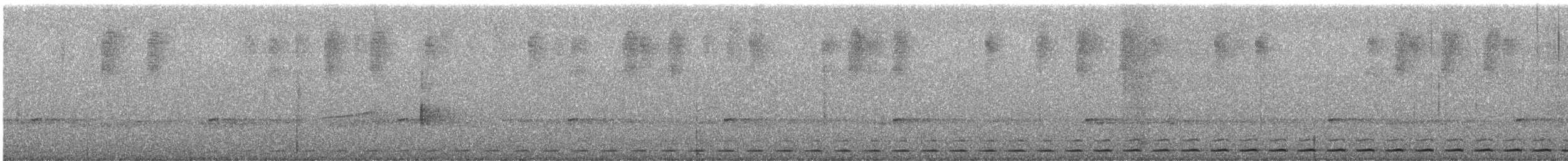 Rostkreischeule (colombianus) - ML549018511