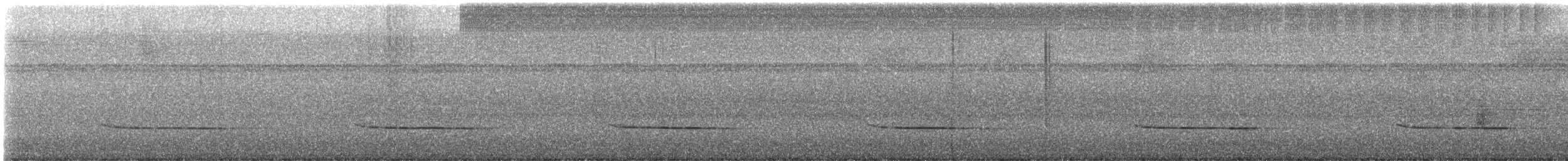 Ak Kulaklı Koca Vireo (mikettae) - ML549021141