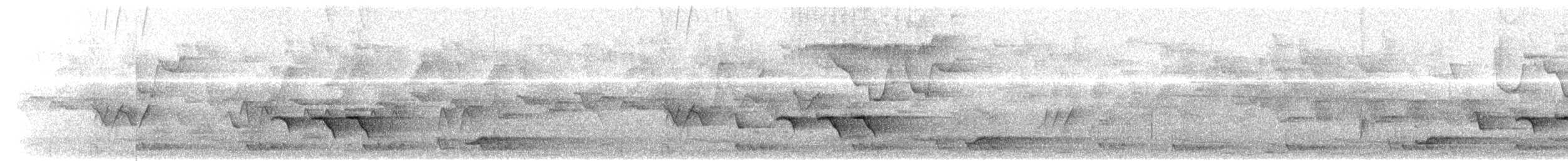Янчик рододендровий (підвид ripleyi) - ML549029521