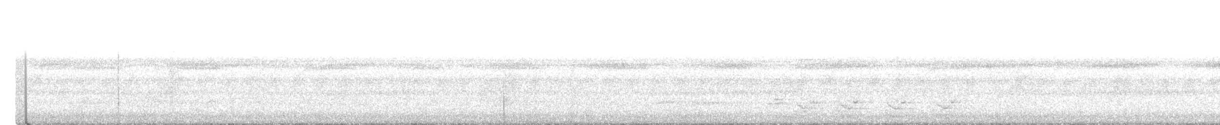 Slaty-breasted Tinamou - ML549058381