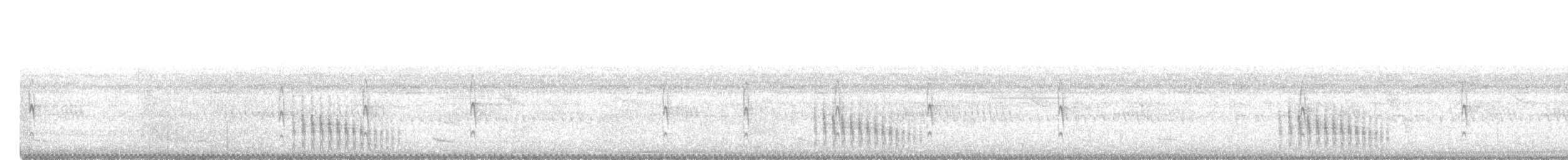 Slaty Spinetail - ML549062941