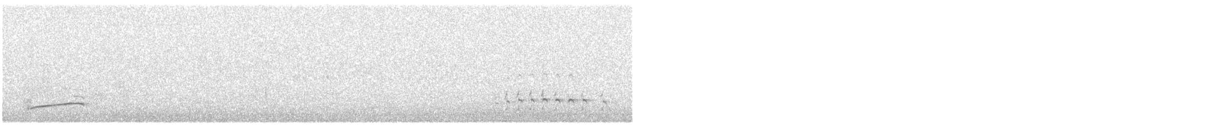 Whimbrel (White-rumped) - ML549068791