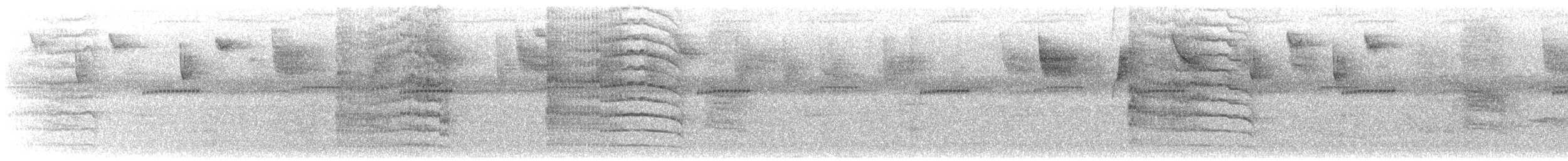 båtnebbtyrann (mexicanus gr.) - ML549081271
