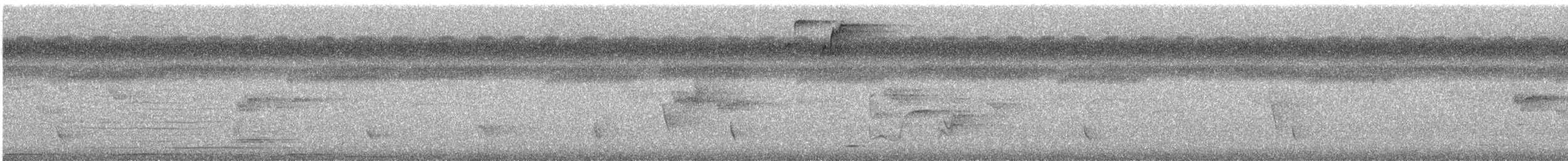 Carpophage pacifique - ML549085741