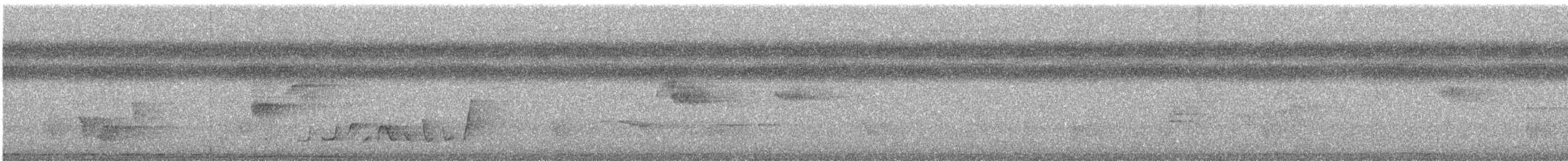 Carpophage pacifique - ML549086921