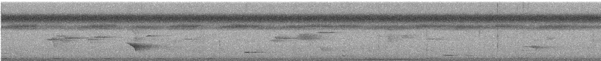 Carpophage pacifique - ML549088161