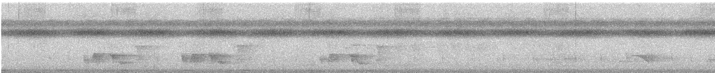 Carpophage pacifique - ML549088221