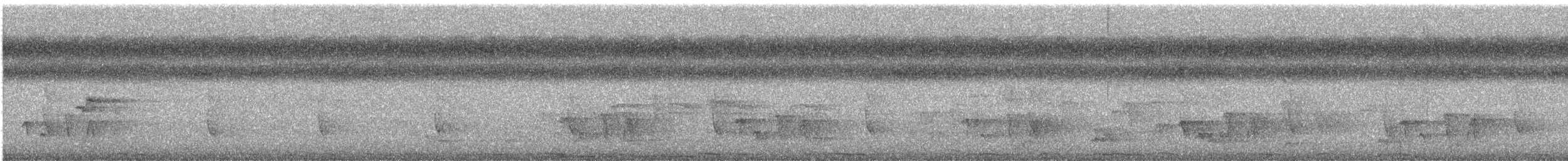 Carpophage pacifique - ML549089071
