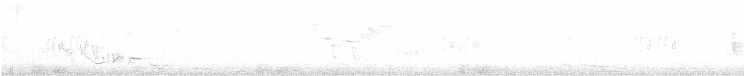 Black-crowned Tchagra - ML549131271