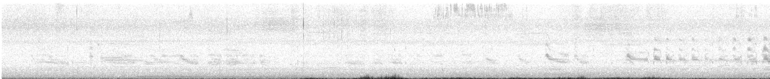Forster's Tern - ML549201161