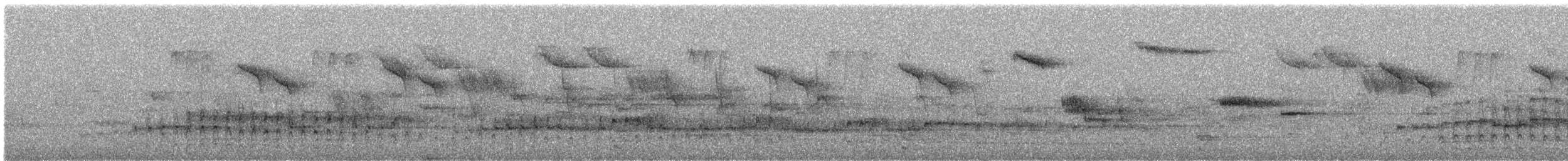 Little Grebe - ML54924111