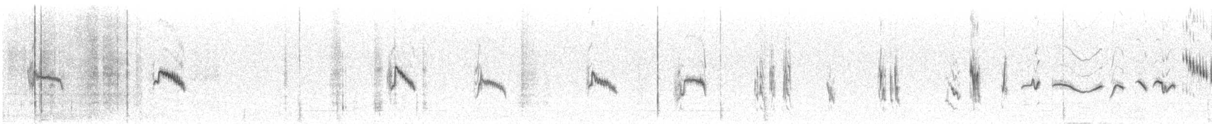 Txoriandre pispoleta mediterraneoa - ML549270521