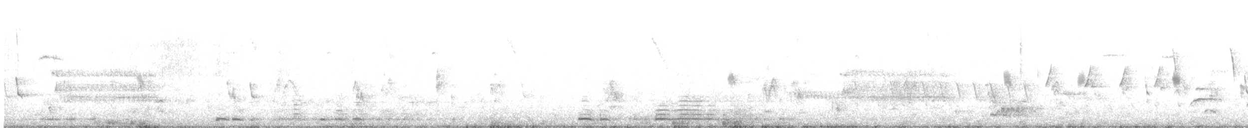 Cisne Trompetero - ML549275811