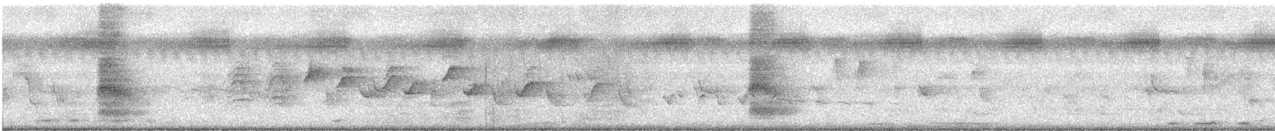 Коукал смугастохвостий [група phasianinus] - ML549283041