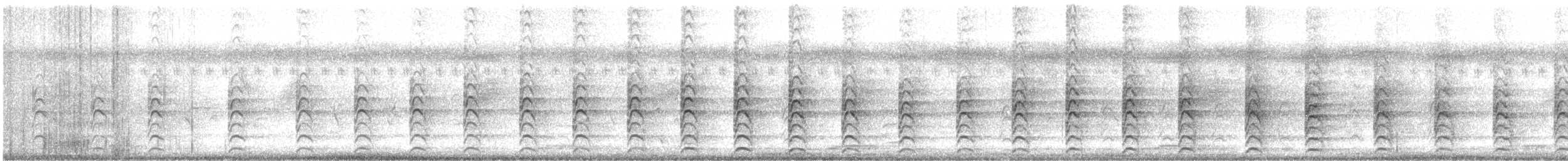 Weißgesicht-Stelzenläufer - ML549284841