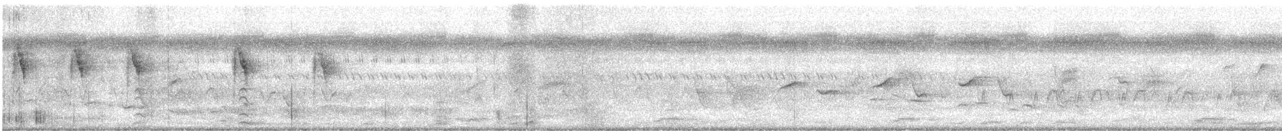 konipas východní (ssp. tschutschensis/plexa) - ML549289311