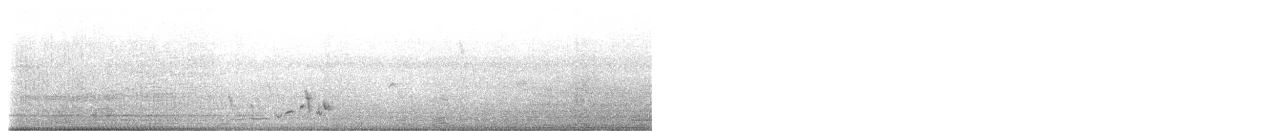 Короткокрылая камышевка - ML549324991