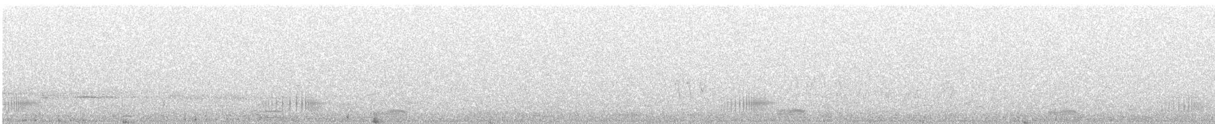 Соловьиная широкохвостка - ML549330271