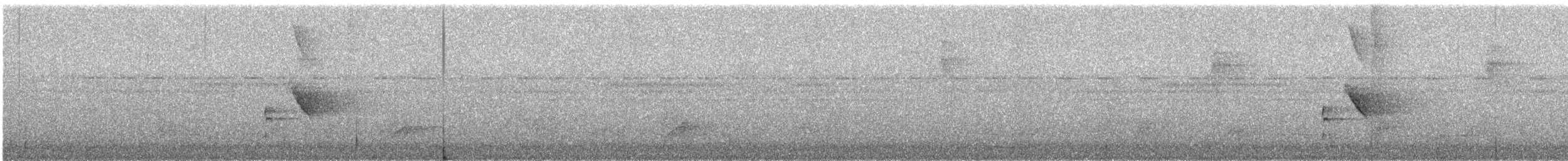 Rotbrustpipra [striolatus-Gruppe] - ML549333641