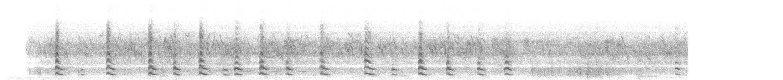 sothøne - ML549370021