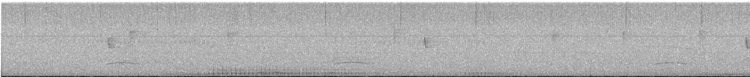 stripesvartspett (lineatus gr.) - ML549372751