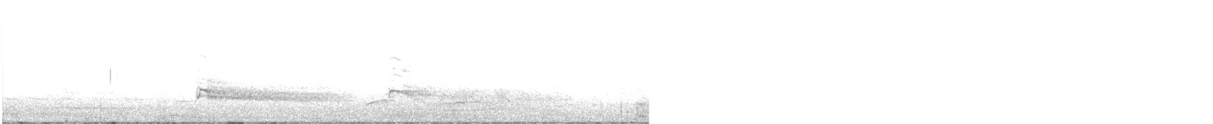 káně rudochvostá (ssp. borealis) - ML549374861